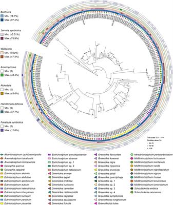 Insights Into the Species-Specific Microbiota of Greenideinae (Hemiptera: Aphididae) With Evidence of Phylosymbiosis